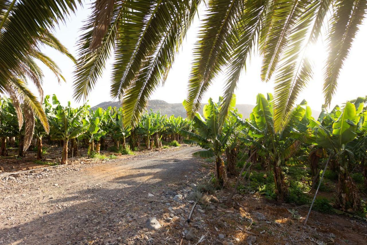 Casita 1, Caserio De Guaza Palm-mar Ngoại thất bức ảnh